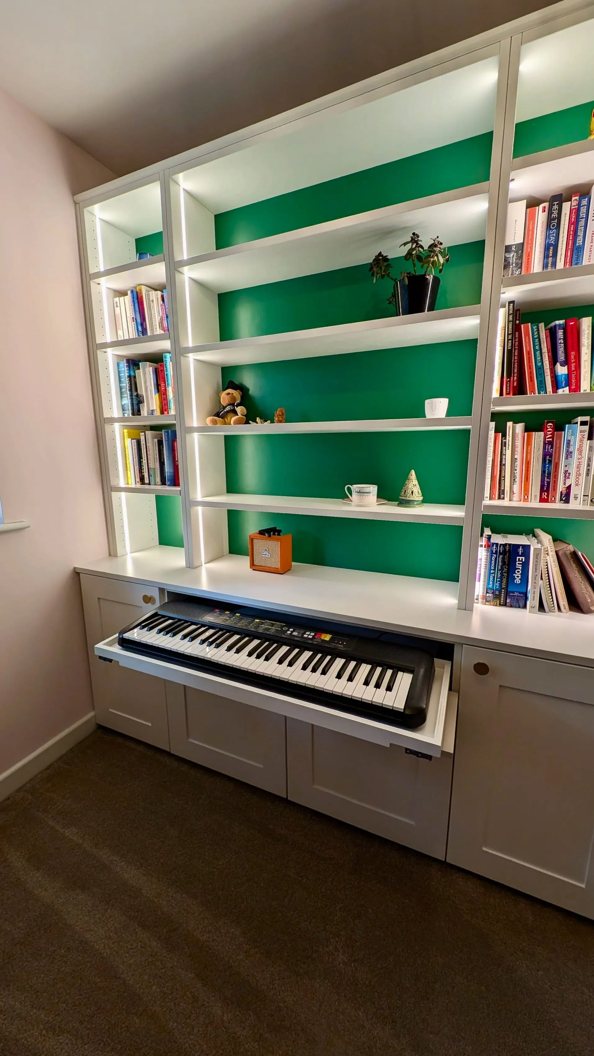 LED-Lit Bookcase, Seagull Bespoke Interiors