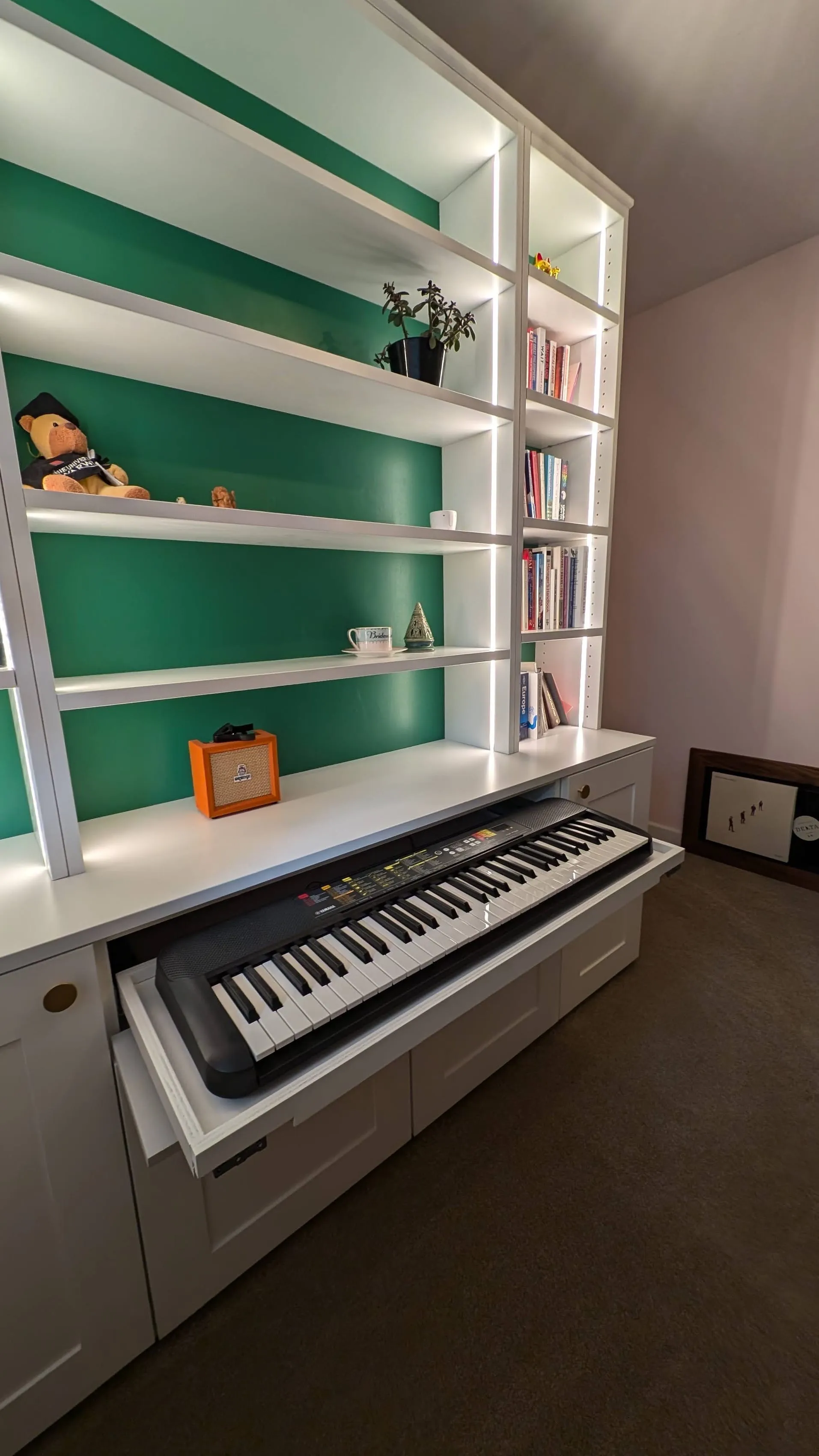 LED-Lit Bookcase, Seagull Bespoke Interiors